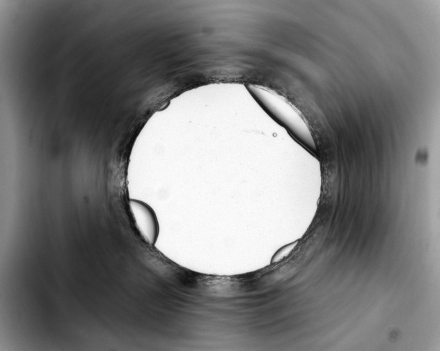 X0000103440383200810101110