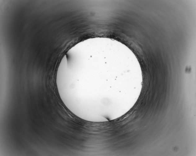 X0000103440384200810101110