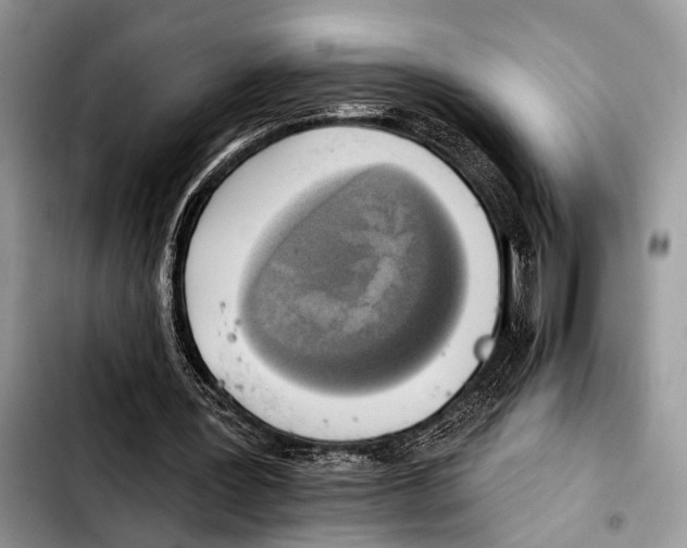 X0000103440387200810101110