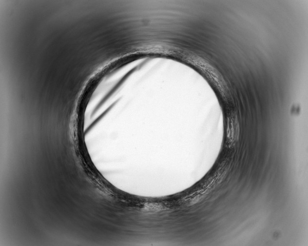 X0000103440388200810101110