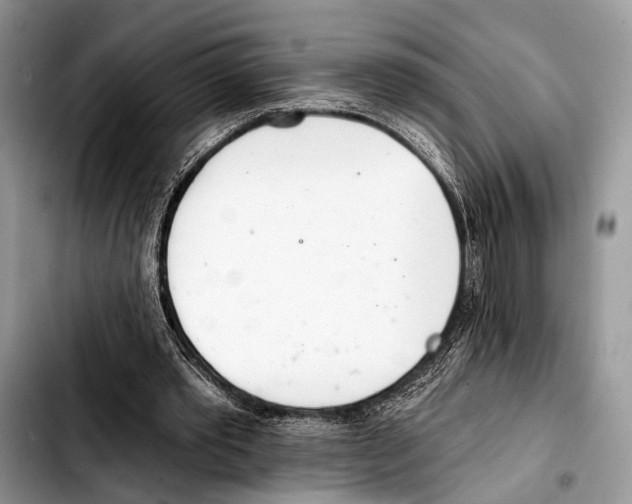 X0000103440389200810101110