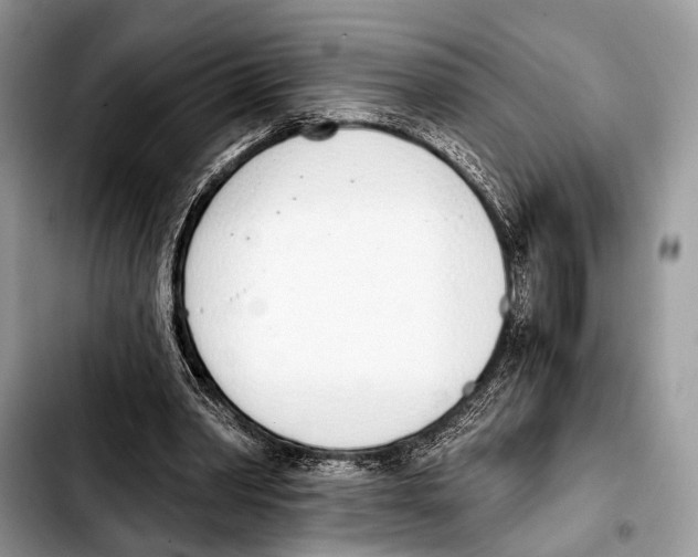 X0000103440390200810101110
