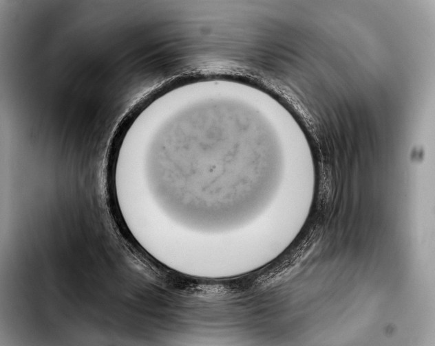 X0000103440391200810101110