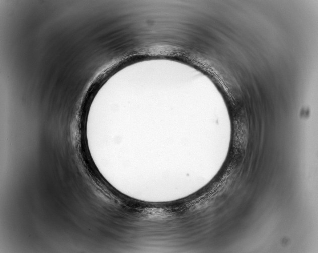 X0000103440392200810101110