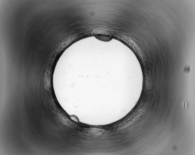 X0000103440393200810101110