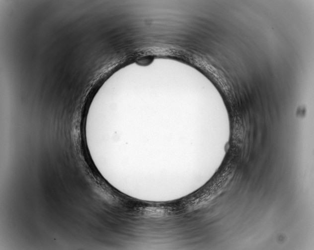 X0000103440394200810101110