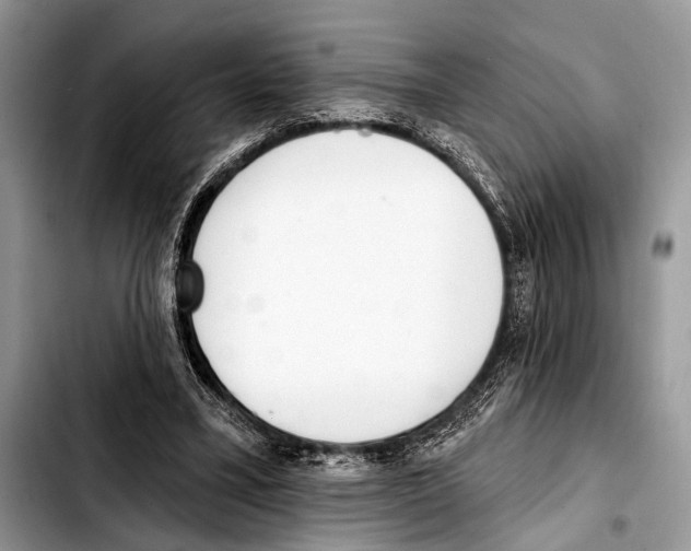 X0000103440395200810101110