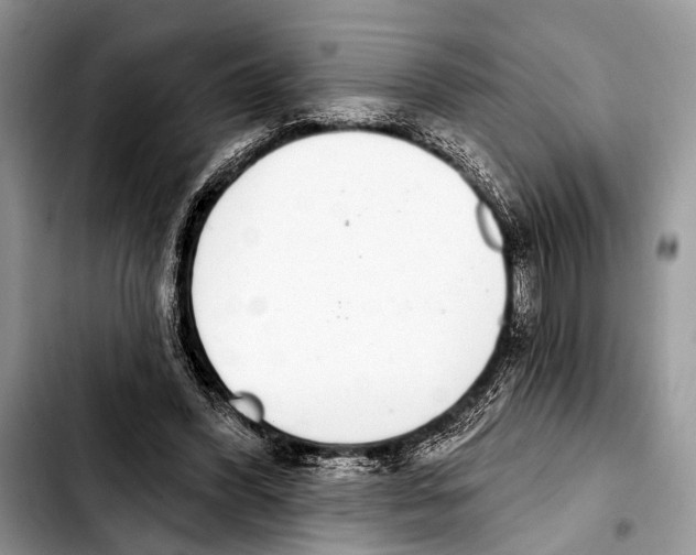 X0000103440396200810101110