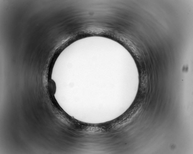 X0000103440399200810101110