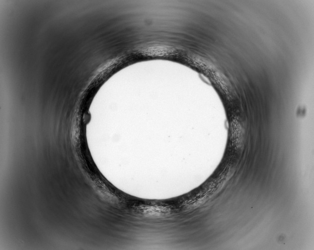 X0000103440400200810101110