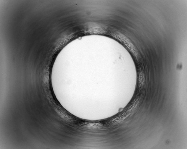 X0000103440401200810101110