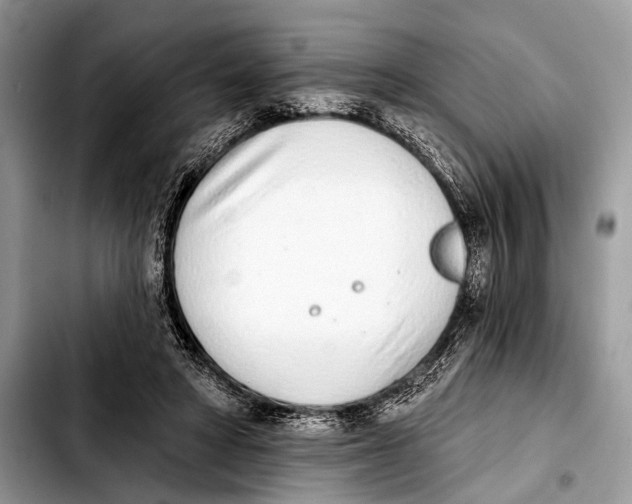 X0000103440402200810101110