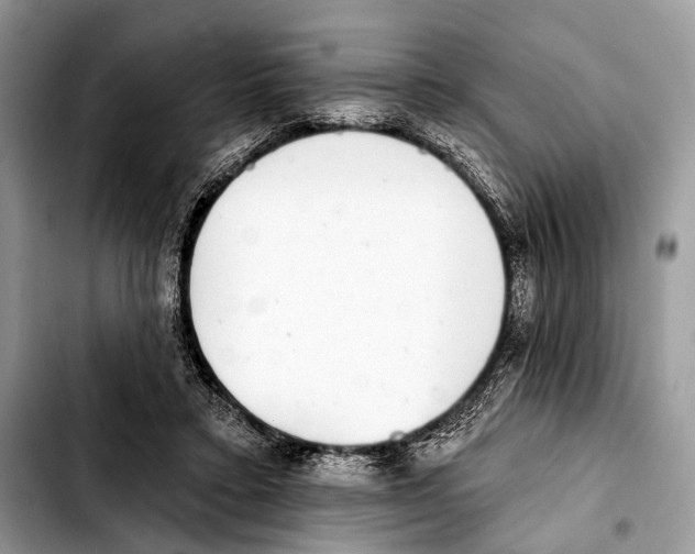 X0000103440403200810101110