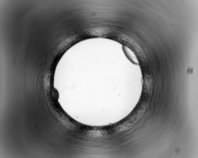 X0000103440404200810101110