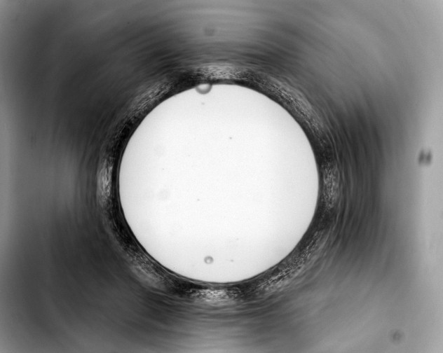 X0000103440406200810101109