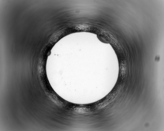 X0000103440408200810101109