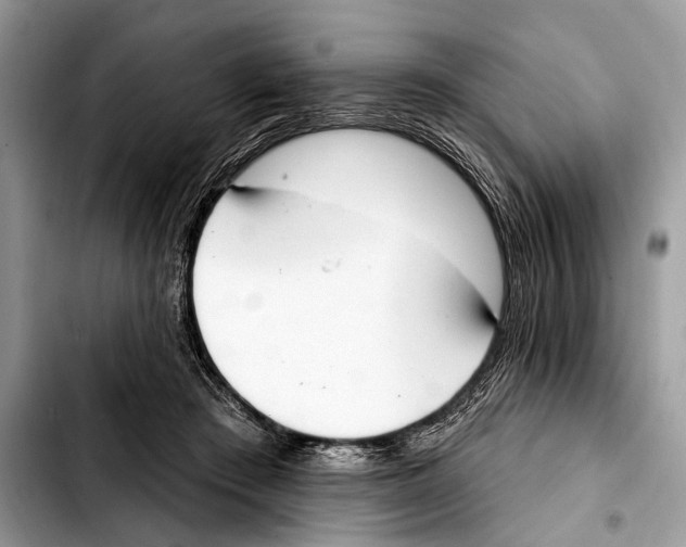 X0000103440409200810101109
