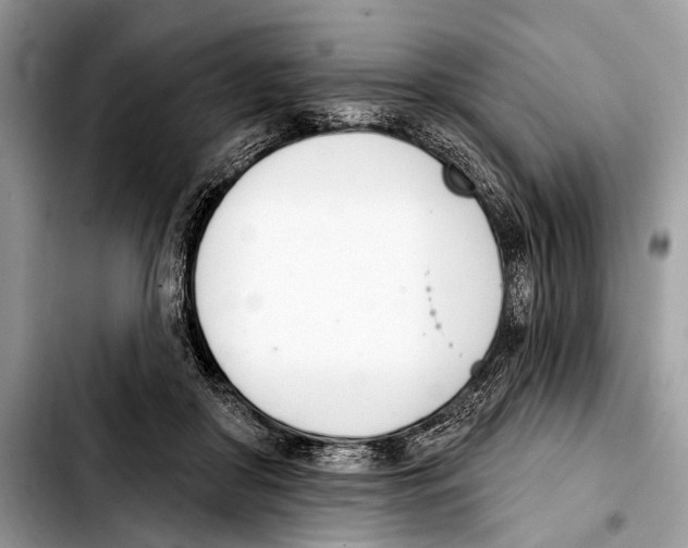 X0000103440410200810101109