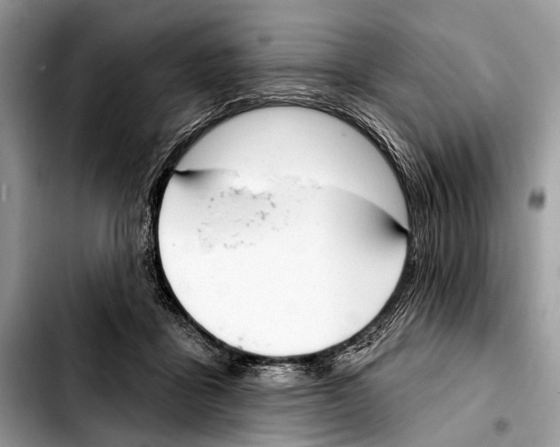 X0000103440411200810101109