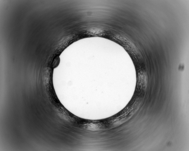 X0000103440412200810101109