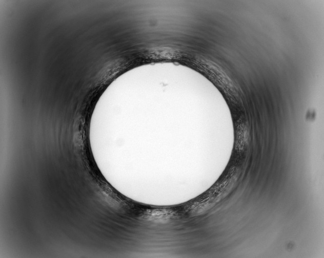 X0000103440414200810101109