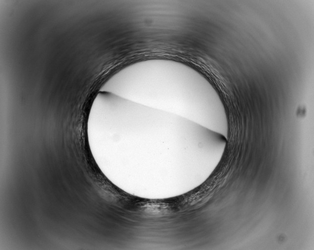 X0000103440415200810101109