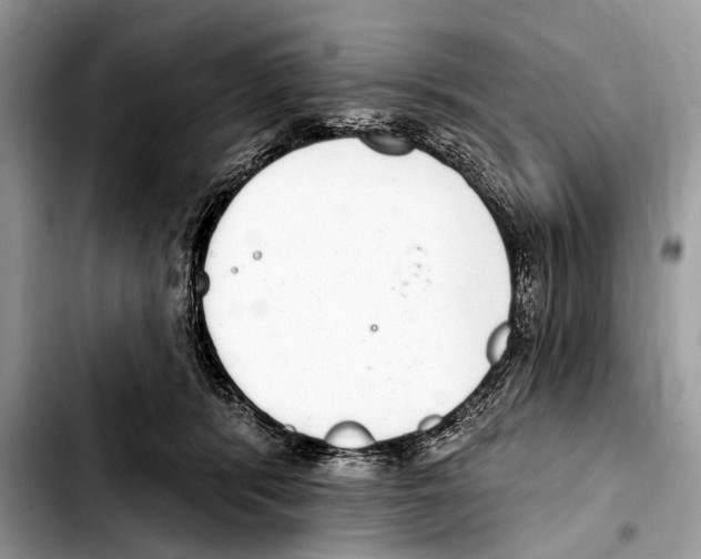 X0000103440416200810101109