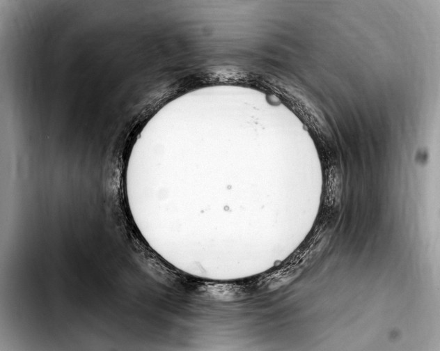 X0000103440417200810101109
