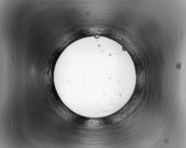 X0000103440418200810101109