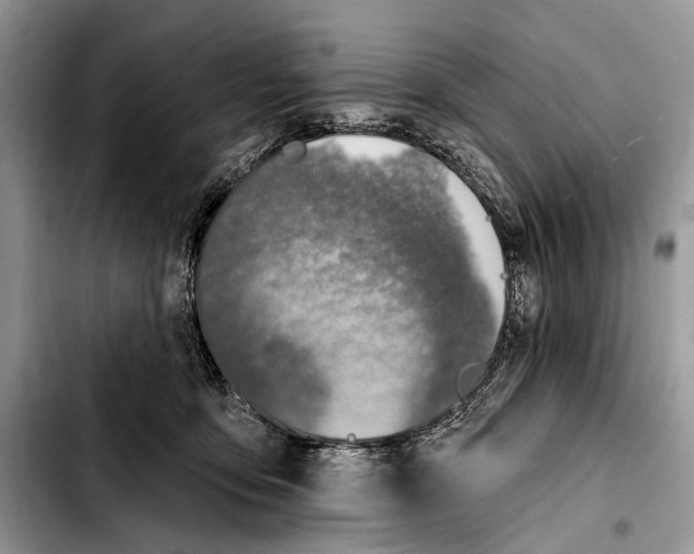 X0000103440419200810101109