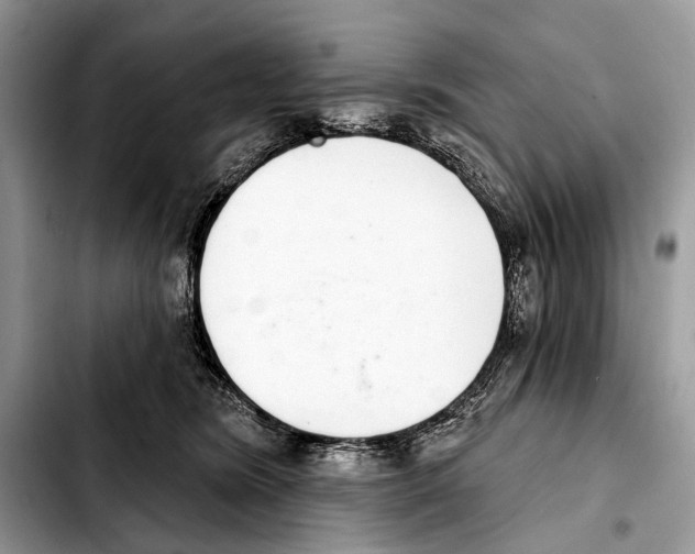 X0000103440420200810101109