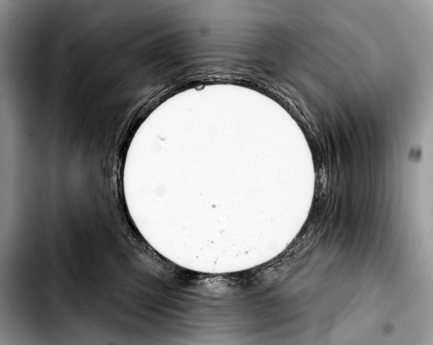 X0000103440423200810101109