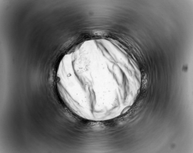 X0000103440424200810101109