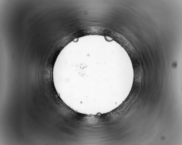 X0000103440425200810101109