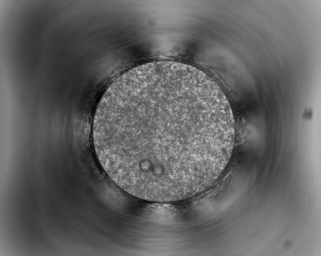 X0000103440427200810101109