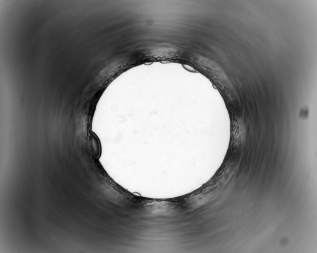 X0000103440428200810101109
