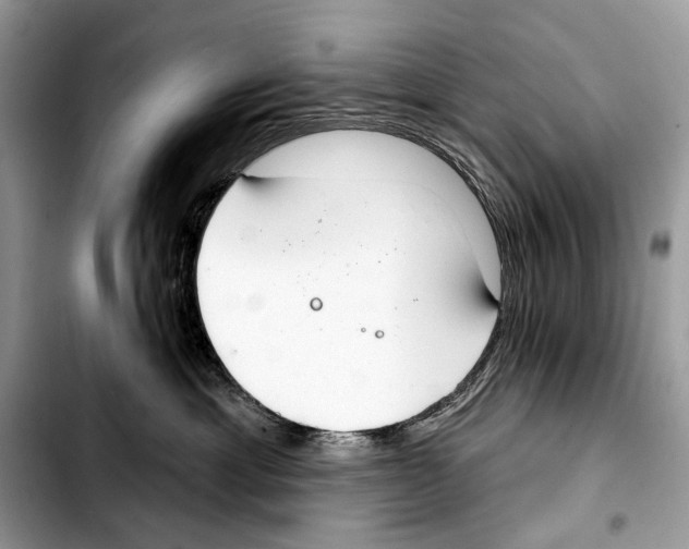 X0000103440429200810101109