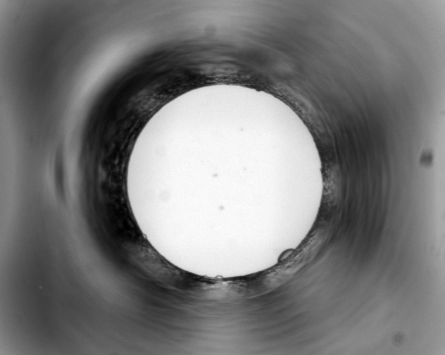 X0000103440430200810101109