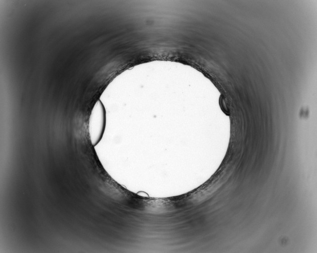 X0000103440432200810101109