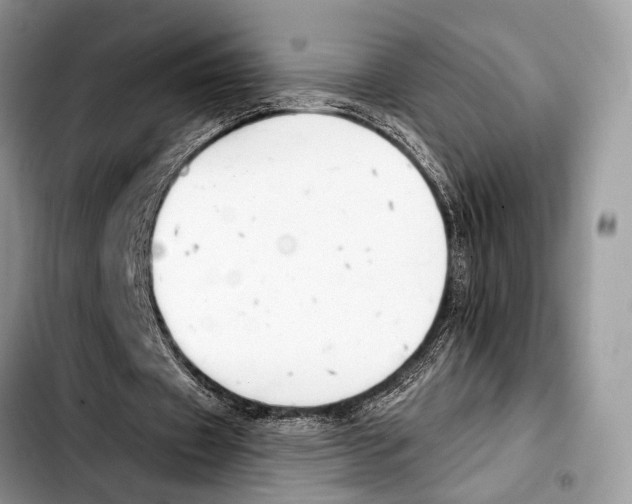 X0000103440433200810101108
