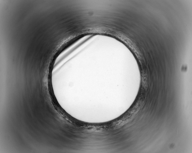 X0000103440434200810101108