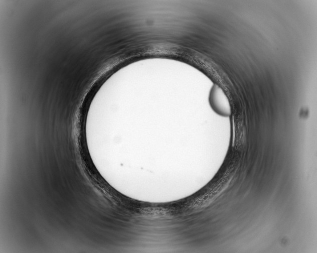 X0000103440435200810101108