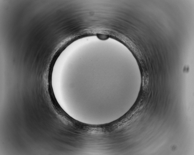 X0000103440438200810101109