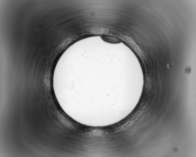 X0000103440441200810101109