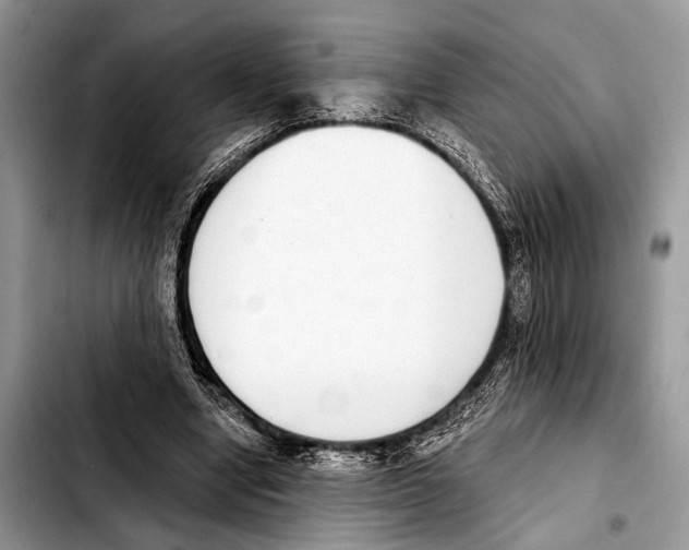 X0000103440442200810101109