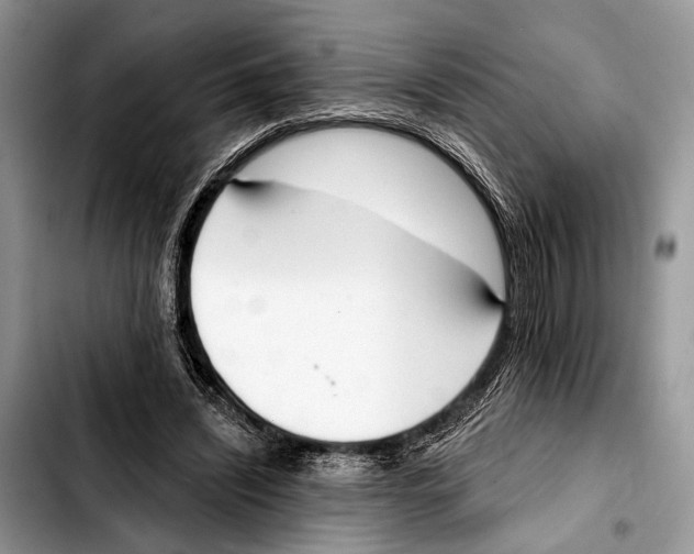 X0000103440444200810101109