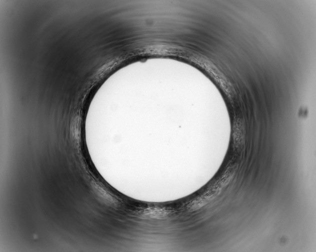X0000103440445200810101109