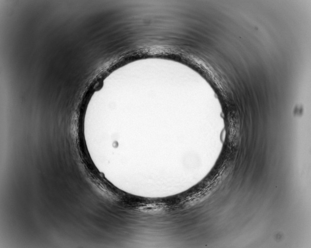 X0000103440447200810101109