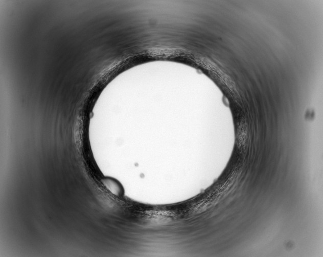 X0000103440448200810101109