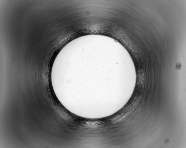 X0000103440450200810101109